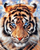 Взгляд тигра | Артикул: LG297