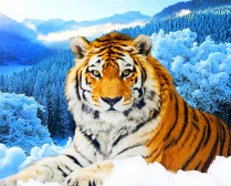 Мозаика Алмазное Хобби «Тигр на фоне зимнего леса»