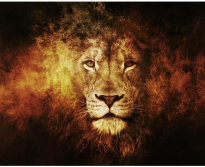 Мозаика Алмазное Хобби «Огненный лев»