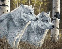 Лесные волки | Артикул: Ag2570
