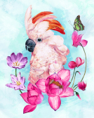 Розовый попугай | Артикул: Ag2688
