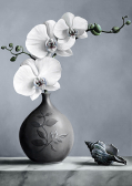 Алмазная вышивка Гранни «Белая орхидея»