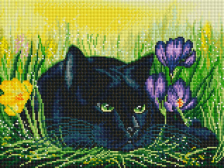 ��� � ������� | �������: 603-ST-S