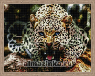 Алмазная вышивка Цветной «Рычащий леопард»