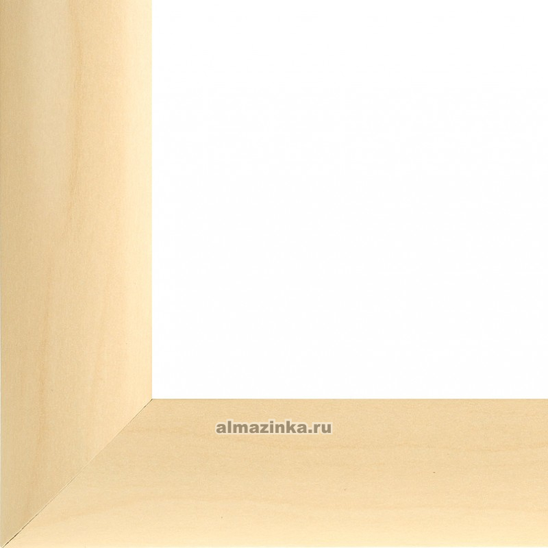  Netta () (2025 )  4127-BK