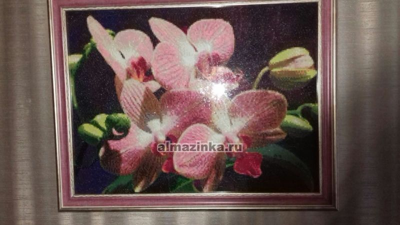 Алмазная вышивка Яркие Грани «Орхидеи» Яркие грани DS063