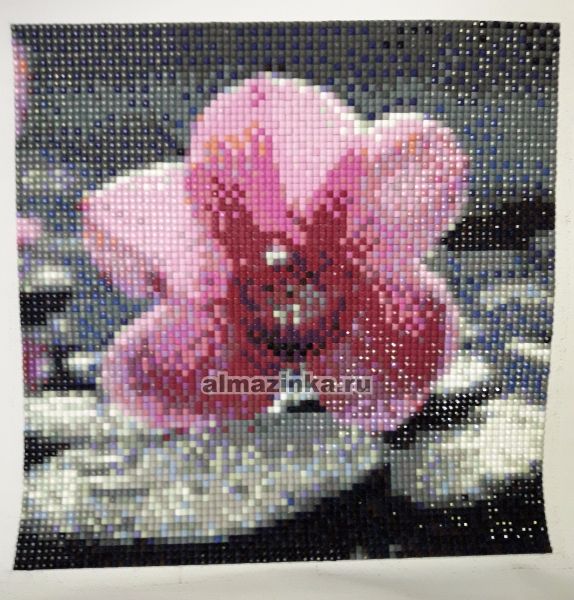 Алмазная вышивка Яркие Грани «Орхидея» Яркие грани DS018