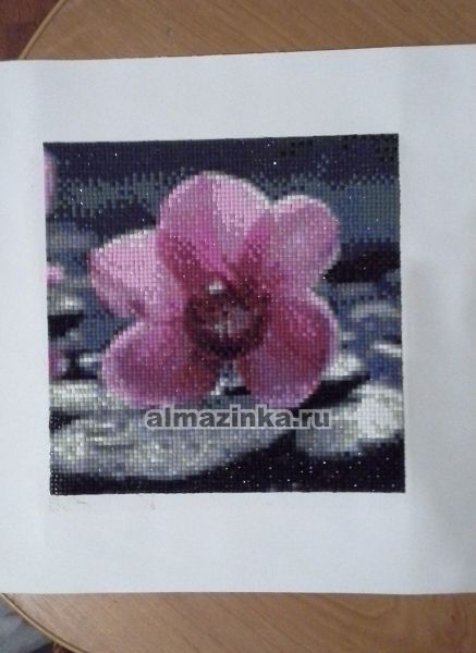 Алмазная вышивка Яркие Грани «Орхидея» Яркие грани DS018