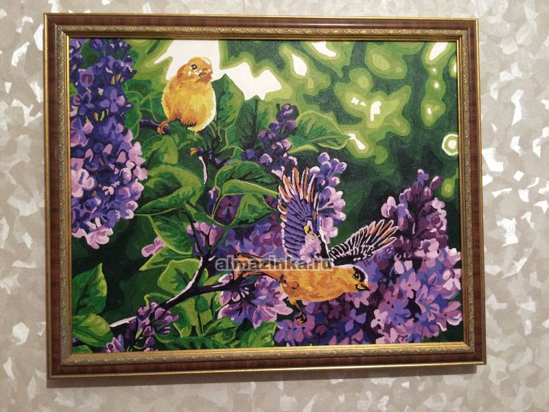 Рама без стекла для картин Daria (пластик) + крепеж, 40х50 см, светло-коричневая Универсальная рама без стекла для картин Daria Метрика 0058-16-3052