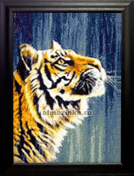 Алмазная вышивка Гранни «Индийский тигр» Гранни Ag250